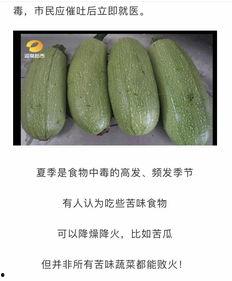 瓜瓜瓜吃瓜的瓜,揭秘瓜界趣闻与美食之旅